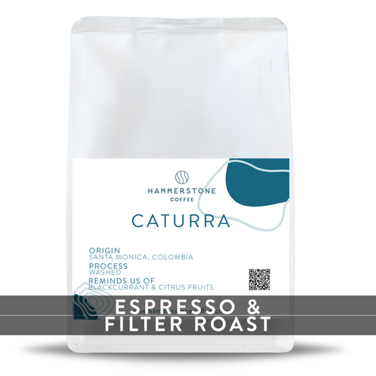 Santa Monica - Caturra